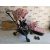 Cybex Mios